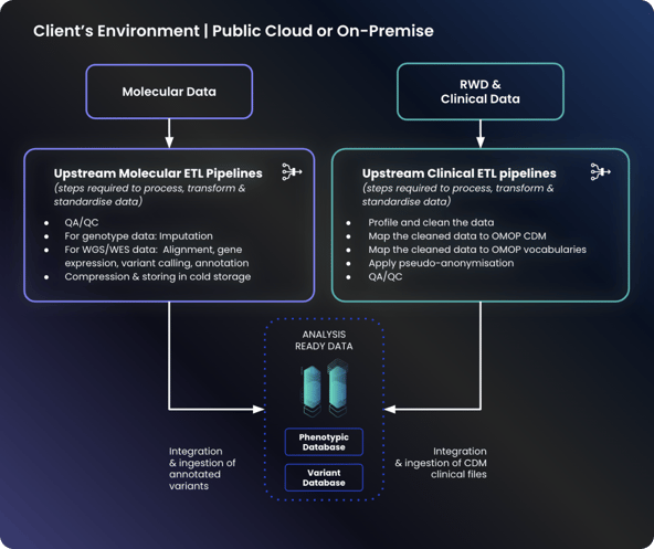 Client Environment graphic