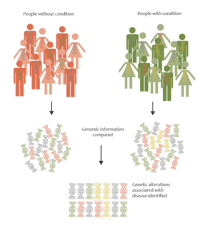 GWAS cohorts