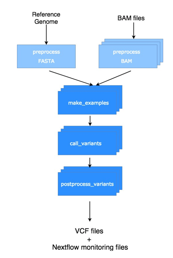 Nextflow version of the DeepVariant workflow