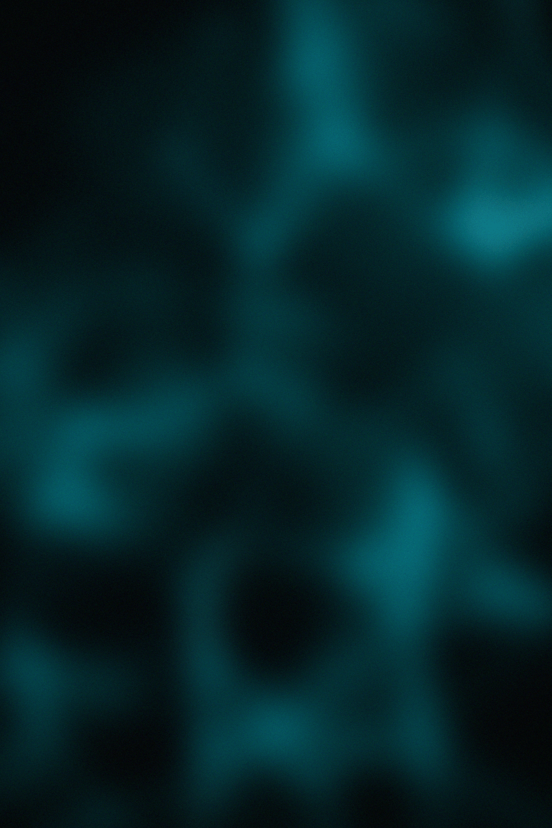 How to use disease, real world_Banner_Mobile (1)